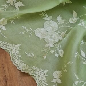 Beautifull Banarasi Organza Saree -Green