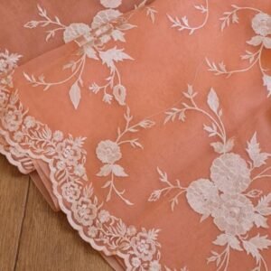 Beautiful Banarasi Organza saree- Peach Colour